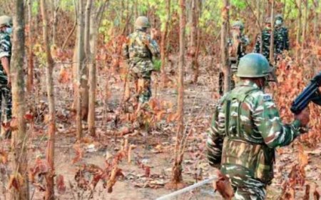 Maoists Killed in Indravati National Park Operation