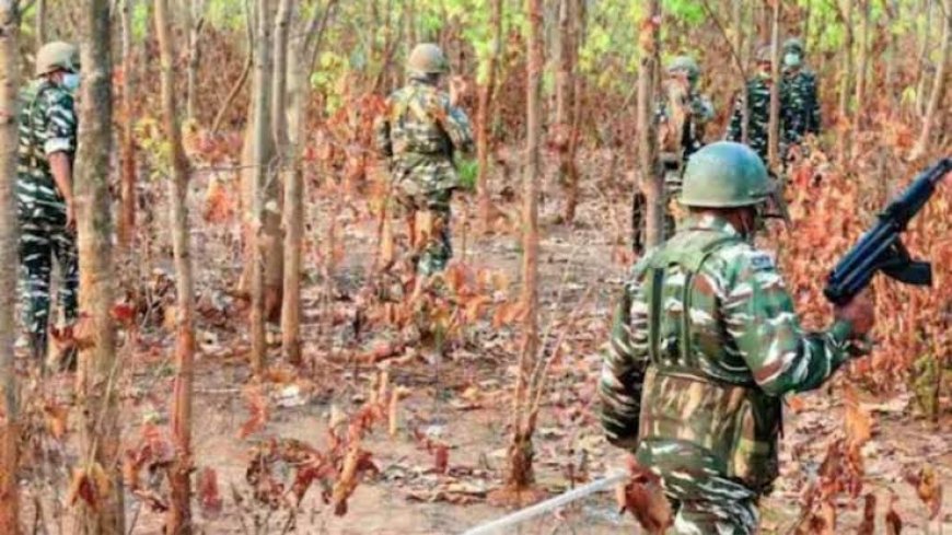 Maoists Killed in Indravati National Park Operation